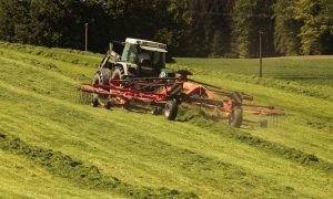 Tracteur vert fait foins