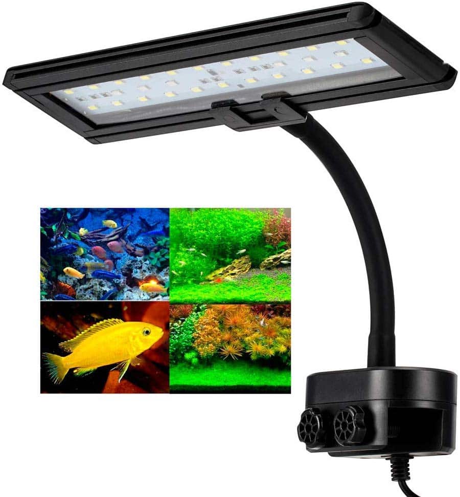 Hygger Lampe LED  Pour un aquarium lumineux  Avis Test 