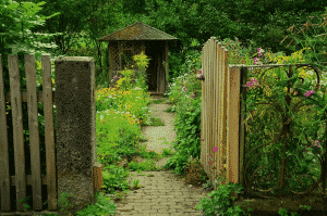 un jardin mal entretenu